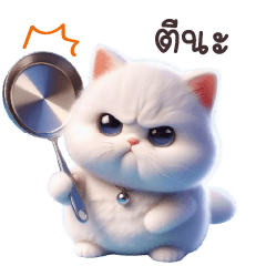 Meaw White CuteCute