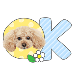 StampNo:4869