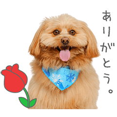 StampNo:4883