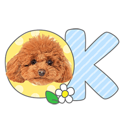 StampNo:4884