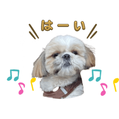 nao_20250304140728