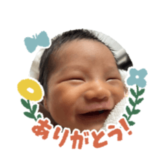 moko_20250304141257