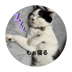 Ayaka_20250304143241