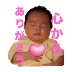 sumire_20250304162248