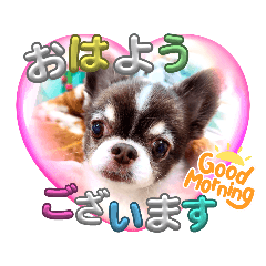 AKIKO_20250304164530
