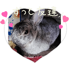 ayaka_20250304175353