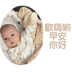 叡叡小龍寶