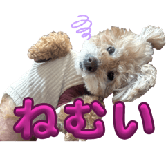 Risa_20250304180829