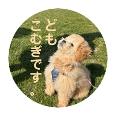 Dàjiā hǎo, wǒ shì xiǎomù