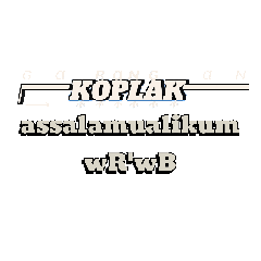 kodok_20250305041334