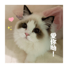 姆吉吉