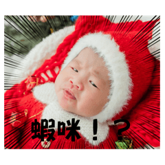 大冰奶成長日記