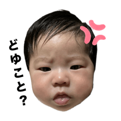 SHIHO_20250304161613