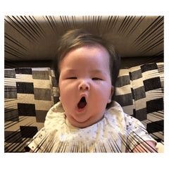 Evelyn_20250304170824 – LINE stickers | LINE STORE