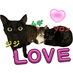 kana_20250304194446