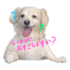 Wakana_20250304194210