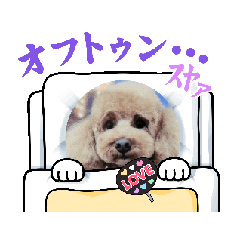 Non_20250305002833