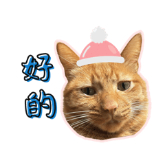 幾何球4