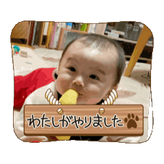 Yun_20250305011912
