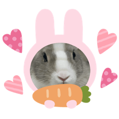 屬於阿慧和草灰搭生活的點點滴滴❤️