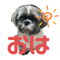 Kokononitijo