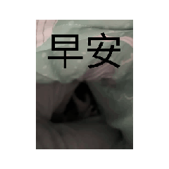 咪兒的捏圖