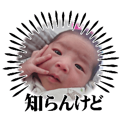 shiro_20250305003941