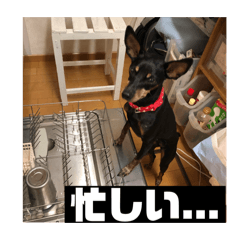 ruby_20250305004140