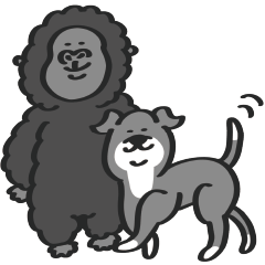 Italian Greyhound with Gorilla