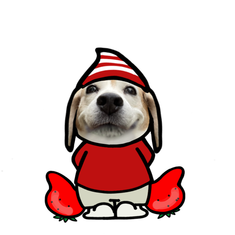 Beagle Dog Pop-up (Spring 2)