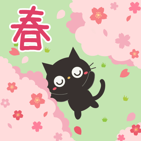 Black cat's spring and daily life