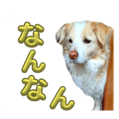 aya_20250304204053