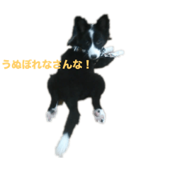 Tanaka_20250305022048