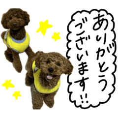 kaori_20250304201527