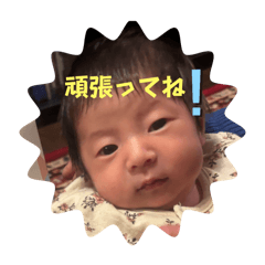 Moe_20250305111138