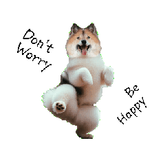 Thai Bangkaew Dog 1