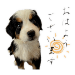 soo_20250304230157