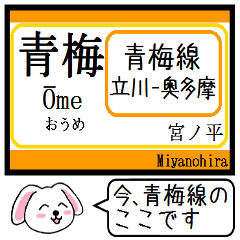 Inform station name of Ome line