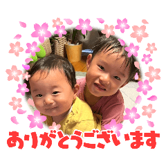 minami_20250305083118