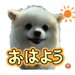 kana_20250305081056