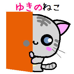 Yukino cat