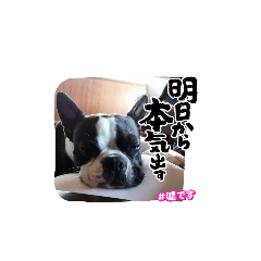 FUKUMUTUPE