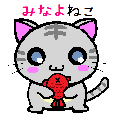 Minayo cat