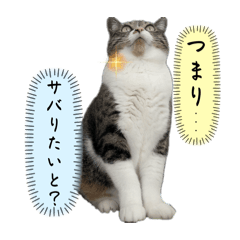 Yuka_20250304214627