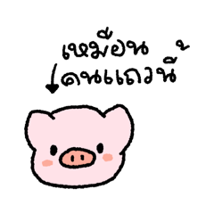 daisypiggy