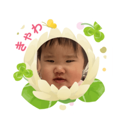 chi_20250304224143