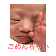 hideyoshisenyou