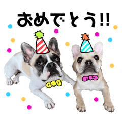 kocchi_20250305020434