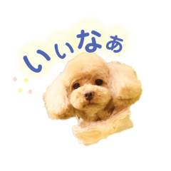 ri_20250305020648
