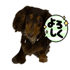 Saori_20250304200300